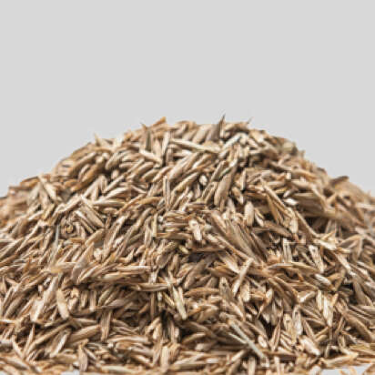 weide saatgut bubblenavibanner